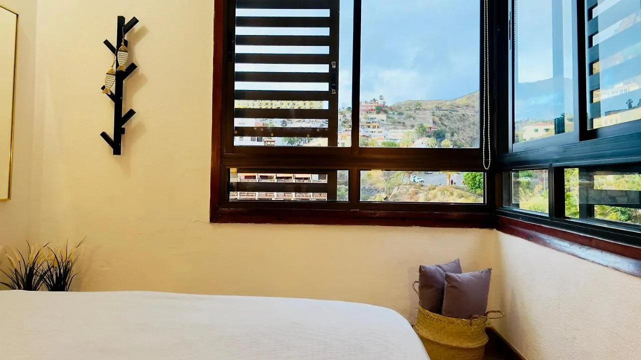 Apartamento La Playa Icod De Los Vinos 0*,  Spain